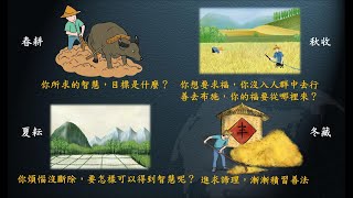 惟智薰法香心得20210531 靜思法髓妙蓮華753集