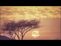اجمل اهات صوتية لبرامج المونتاج