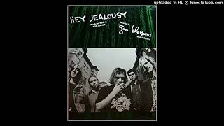 Gin Blossoms - Hey Jealousy [Single Version][HD]
