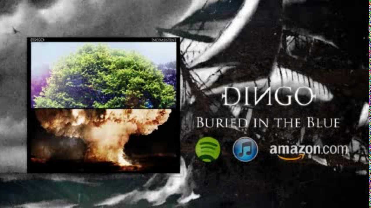 DINGO - Buried In The Blue