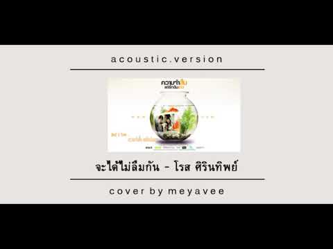 จะได้ไม่ลืมกัน - โรส ศิรินทิพย์ COVER BY MEYAVEE (ACOUSTIC VERSION)