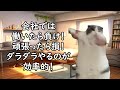 静かな退職が増える職場の共通点【猫ミーム】