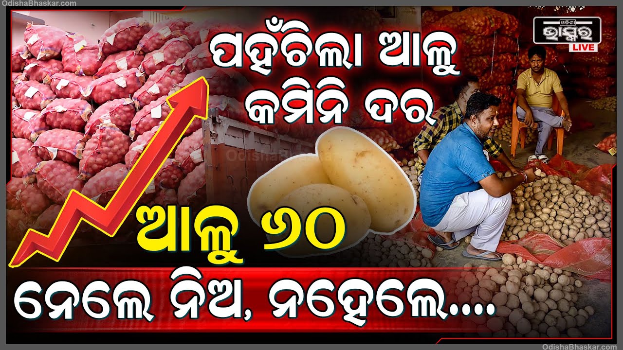 ୟୁପିରୁ ଆସିଛି 300 ଟ୍ରକ ଆଳୁ, ତଥାପି କମୁନି ଦର | ଚିନ୍ତାରେ ଗ୍ରାହକ, କେବେ କମିବ ଆଳୁ ଦର