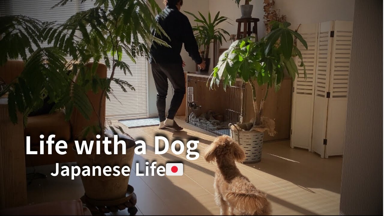Japanese life with a Dog.