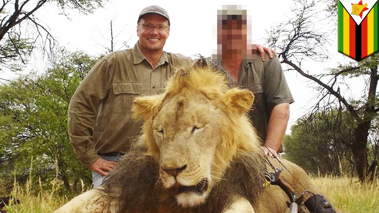 Cecil the Lion's killer identified as American dentist Walter Palmer - TomoNews