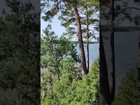 Ławeczka Marii Koterbskiej