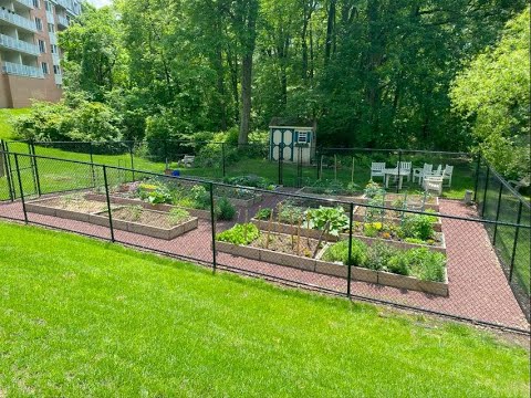 Morning with Riddle - Serene Nature Around the Community - video from Riddle Village
