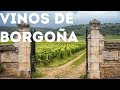 Los vinos de Borgoña