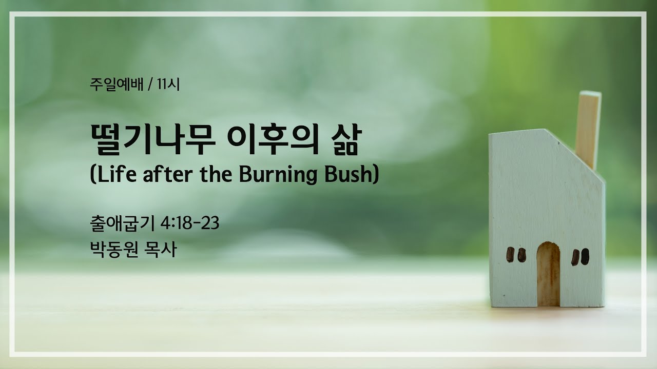 떨기나무 이후의 삶