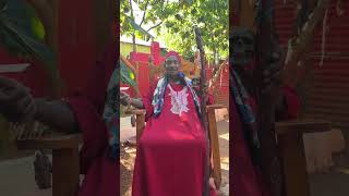 Mestro faisan brujo supremo está en vivo