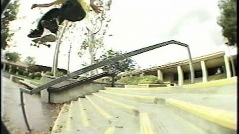 Classics - Brian Wenning Photosynthesis