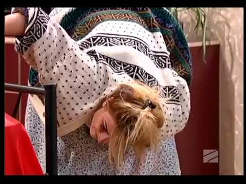 კომედი შოუ - ოჯახი