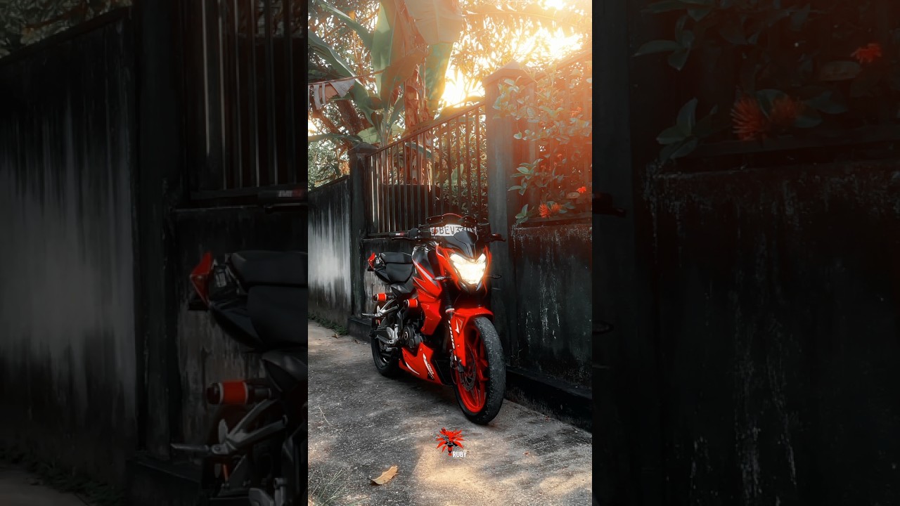 Pulsar NS 150🔥🚀