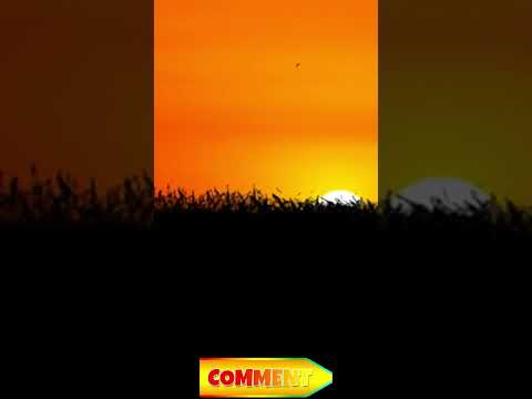 Watch until the end for instant calm #asmr #nature #sleepaid