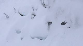 BILLY GOAT SNOWBOARD 18/19 | GNU