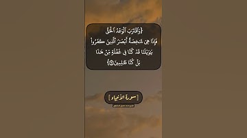 سورة الأنبياء الآية ٩٧ الى ٩٩ بصوت الشيخ محمد صديق المنشاوي
