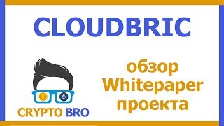 Разбор Ico Cloudbric От Crypto Bro Изучаем Whitepaper