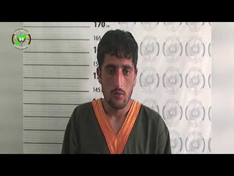 بازداشت عاملین قتل رحمت الله نیکزاد خبرنگار الجزیره و اسوشیتد پرس در ولایت غزنی