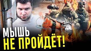 видео: Как защитить ДОМ ОТ МЫШЕЙ! Что сделать, чтобы мыши перестали проникать в деревянный дом картинка: Как защитить ДОМ ОТ МЫШЕЙ! Что сделать, чтобы мыши перестали проникать в деревянный дом