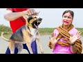 Top Comedy Video Amazing Funny Video 2025 ЁЯШВ Try To Not Laugh Video Episode 337 By Busy Fun Ltd Top Comedy Video Amazing Funny Video 2025 ЁЯШВ Try To Not Laugh Video Episode 337 By Busy Fun Ltd