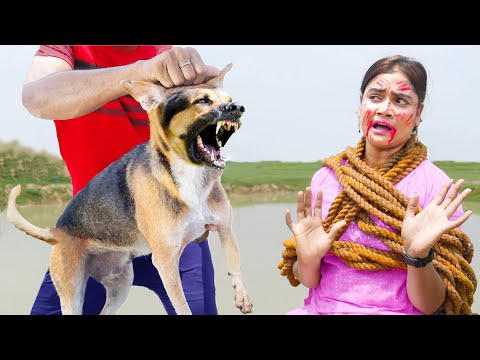 Top Comedy Video Amazing Funny Video 2025 Try To Not Laugh Video Episode 337 By Busy Fun Ltd