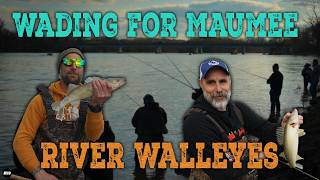 The Legendary Maumee River Walleye Run Maumee Run Breakdown