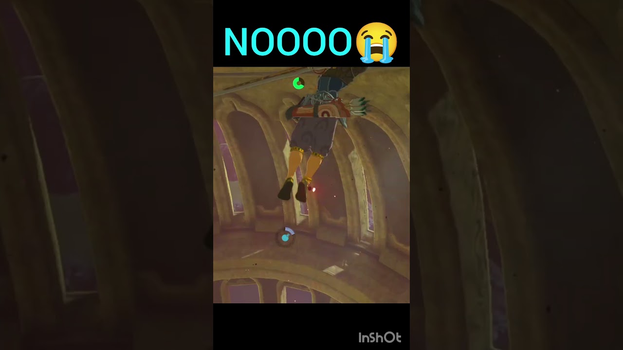 NOOOO😭     #zelda #botw #speedrun #glitchmoments
