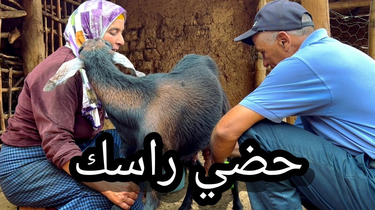 اليوم نهار جديد مع الحباب فيه السعادة والضحك مع العائلة