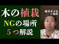 木【植栽】絶対に植えてはいけない場所【具体例】５つを解説