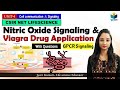 Nitric oxide gpcr signaling  application of viagra drug  cell signaling csir net 2024