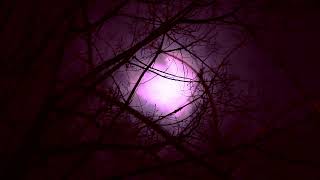 You are all alone  - 45 minute Generative Dark Ambient for Writing Horror Stories screenshot 5
