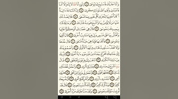 ماهر المعيقلي سورة طه مكتوبة صفحة 313 مصحف المدينة المنورة جودة عالية