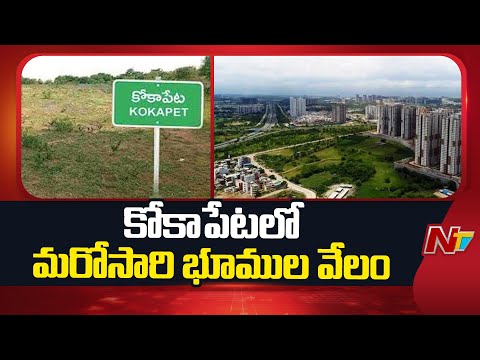 Land Auction in Kokapet: కోకాపేటలో మరోసారి భూముల వేలం | Hyderabad | NTV Telugu - NTVTELUGU
