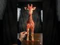 Giraffe 🦒🦒🦒 #burn #fire #fun
