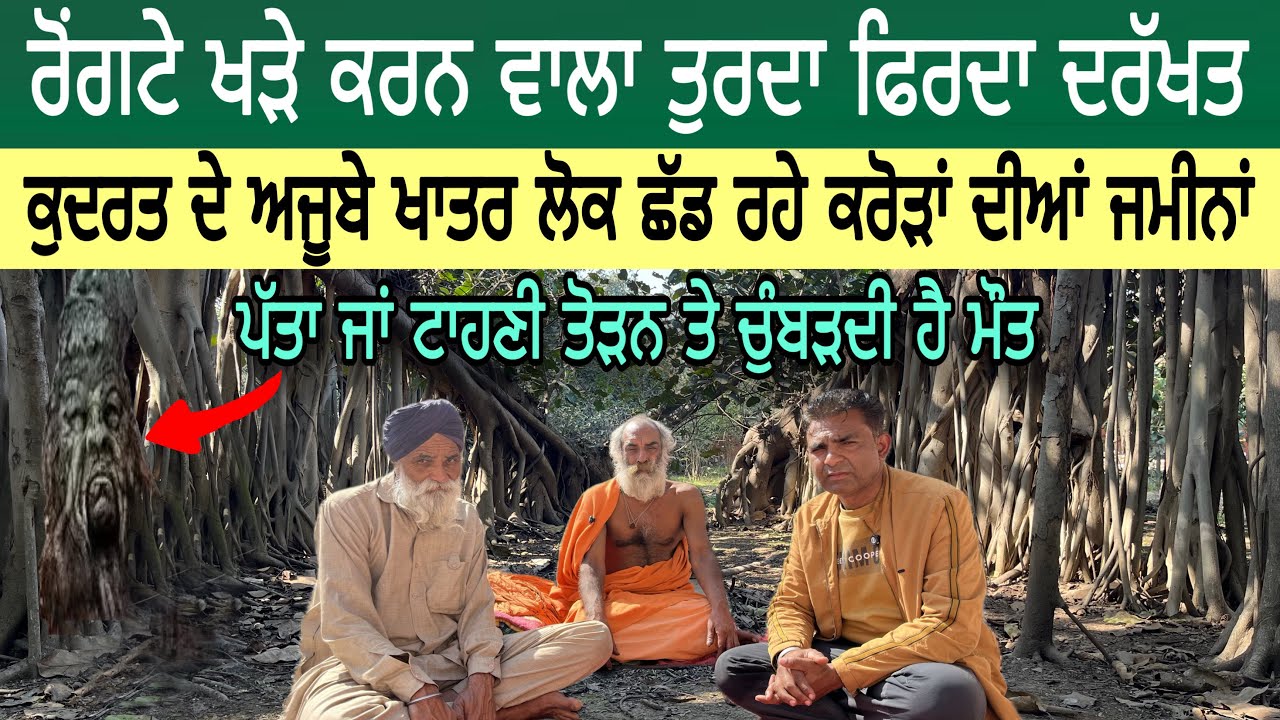ਪੰਜਾਬ ਚ ਲੱਭਿਆ ਰੋਂਗਟੇ ਖੜੇ ਕਰਨ ਵਾਲਾ ਤੁਰਦਾ ਫਿਰਦਾ ਦਰੱਖਤ | ਕੁਦਰਤ ਦੇ ਅਜੂਬੇ ਖਾਤਰ ਲੋਕ ਛੱਡ ਰਹੇ ਜਮੀਨਾਂ