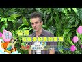 《精采預告》2026-06-11 各國"必買好物"超吸睛!