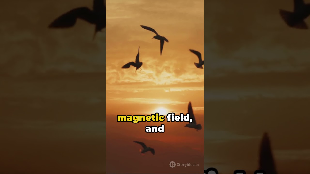 Feathers in Flight: Unveiling 6 Secrets of 