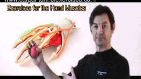 Carpal Tunnel Exercises #2 - Treatment of Hand & Wrist Imbalance