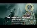 APOSTOLUL LUPILOR - Sf.  Apostol Andrei ocrotitorul Romaniei