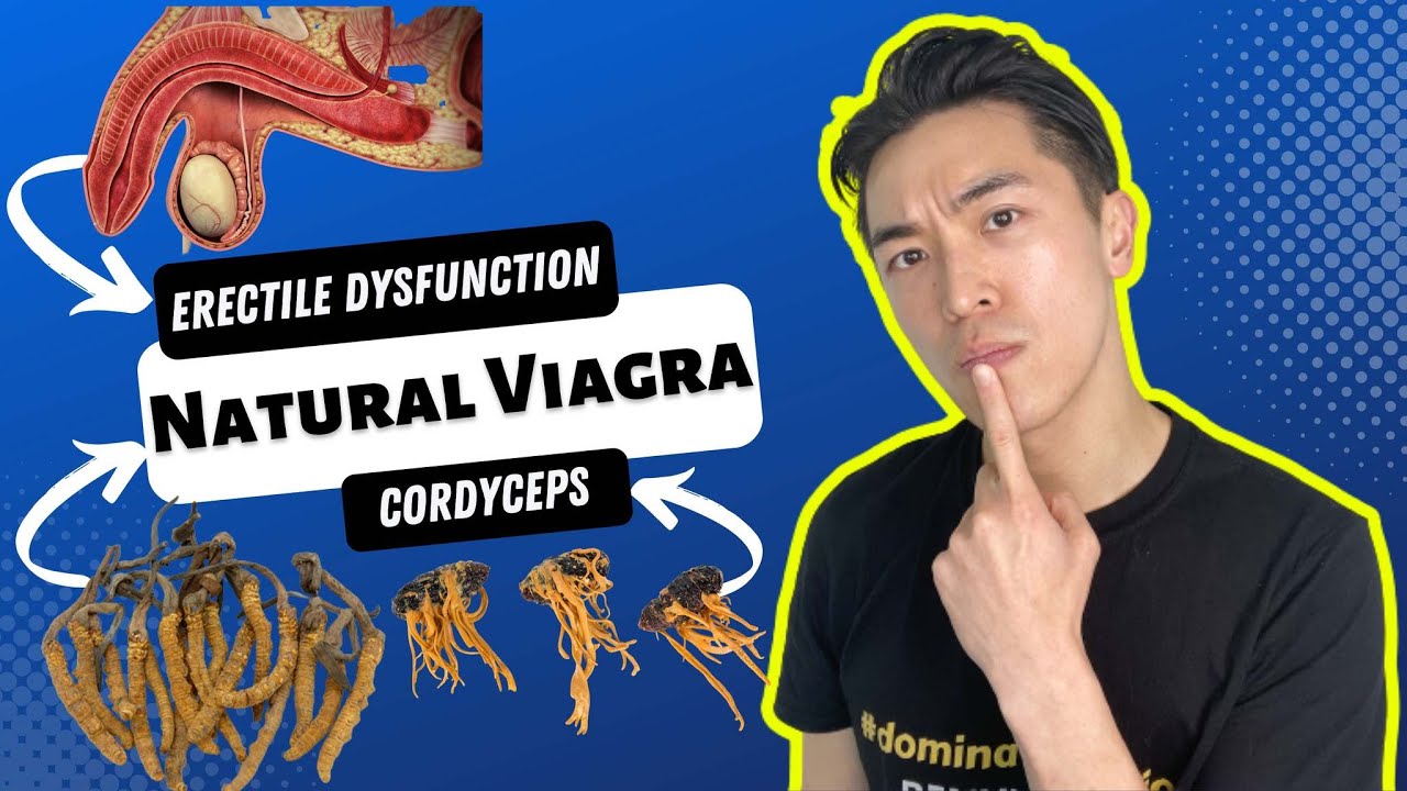 What is a natural Viagra? How does cordyceps help with erectile