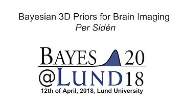 Bayesian 3D Priors for Brain Imaging, Per Sidén - Bayes@Lund 2018