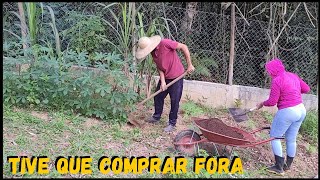 Se correr o bicho pega ! Vamos Família de episódio novo #sustentabilidade #rural @TILAPIAMinhaVida