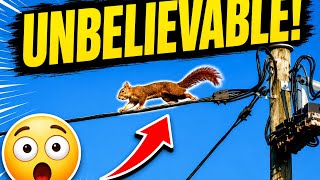 The Most Fearless Squirrel I’ve Ever Seen