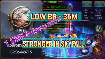 36M BR 1SKILL 5 ENEMY DIED!! SKYFALL BATTLE!!  LEGACY OF DISCORD
