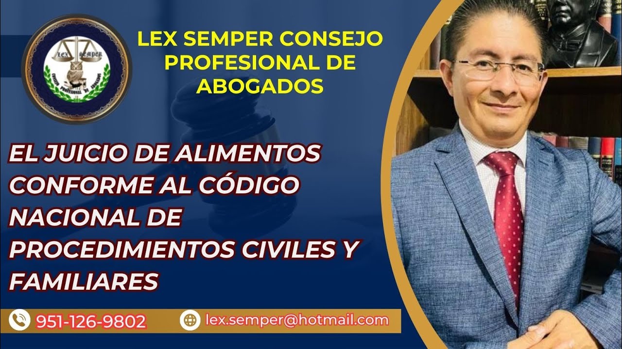 EL JUICIO DE ALIMENTOS CONFORME AL CÓDIGO NACIONAL DE PROCEDIMIENTOS CIVILES Y FAMILIARES
