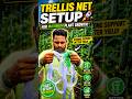 Trellis Net Magic Bigger Plants, Bigger Harvests!🥒🔥 #TrellisNet #PlantSupport #Farming #agromakan