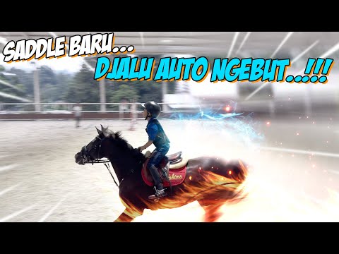 SADDLE BARU DARI AYAH...BERKUDA JADI LEBIH NGEBUT..!
