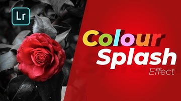 Color splash effect in Lightroom. Photo editing tutorial.
