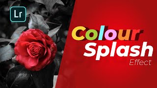 Color splash effect in Lightroom. Photo editing tutorial. screenshot 3