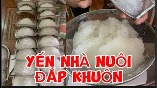 Yến nhà nuôi,  SHOP HA PHUONG đang phát trực tiếp!